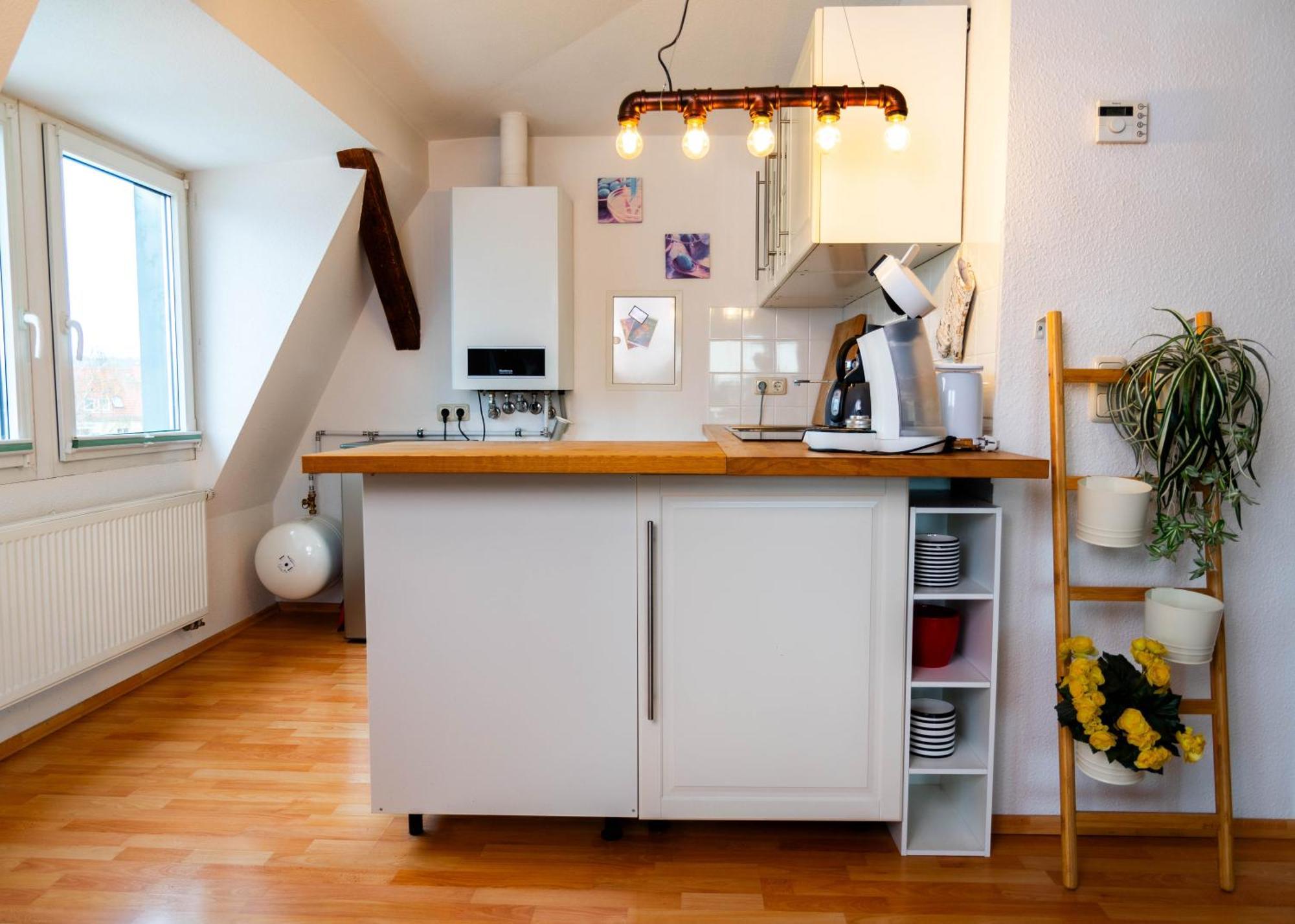 Apartmenthaus Rankestrasse 4 เดรสเดน ภายนอก รูปภาพ