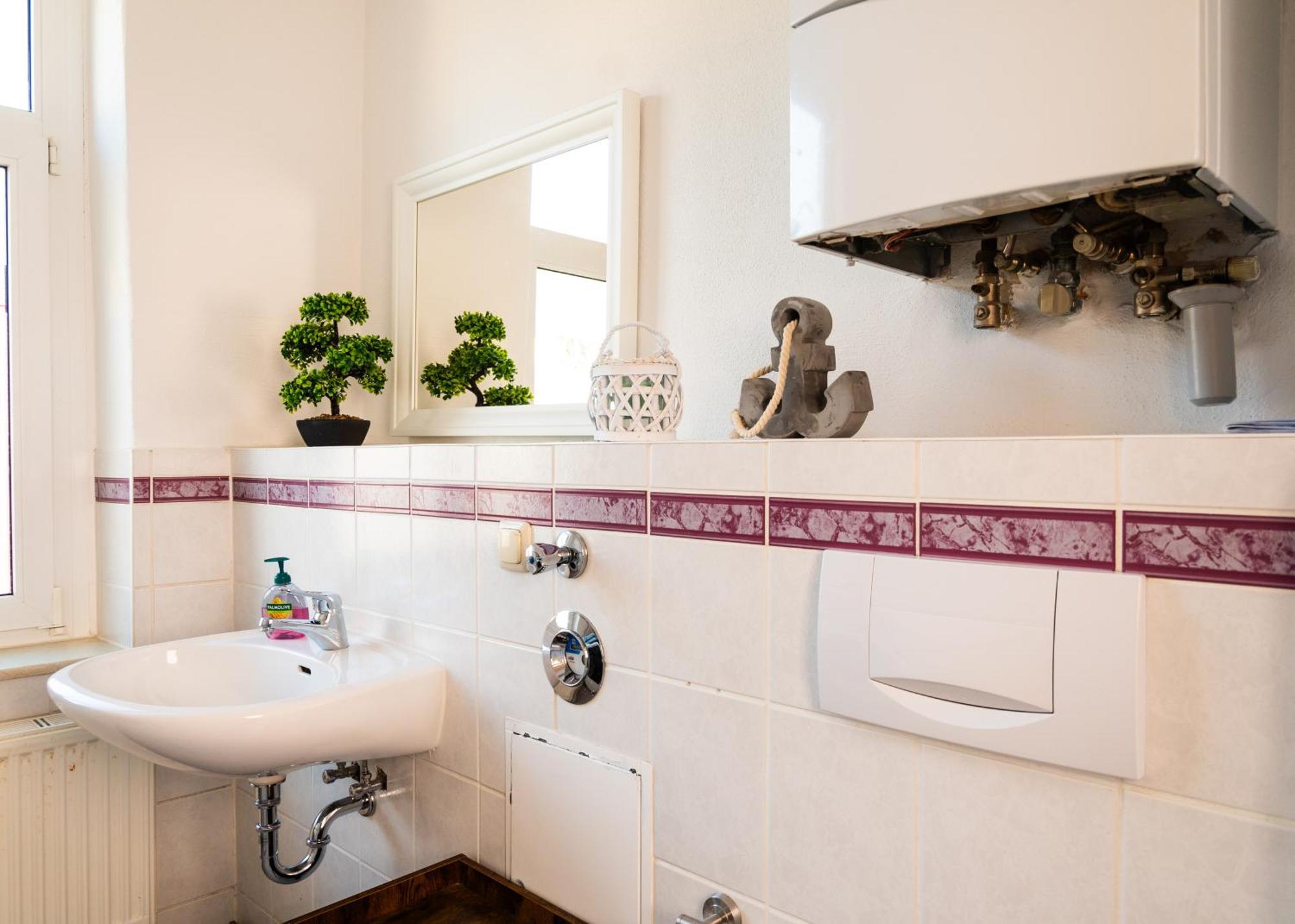 Apartmenthaus Rankestrasse 4 เดรสเดน ภายนอก รูปภาพ