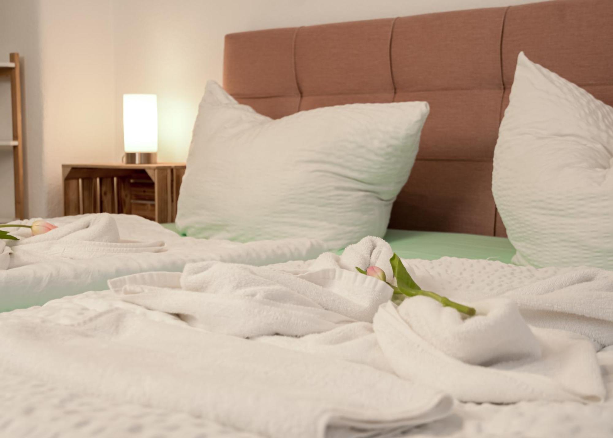 Apartmenthaus Rankestrasse 4 เดรสเดน ภายนอก รูปภาพ
